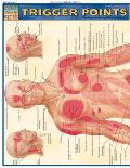 Trigger Points Laminated Reference