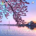 Cherry Blossoms: The Official Book of the National Cherry Blossom Festival