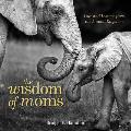 Wisdom of Moms Love & Lessons from the Animal Kingdom