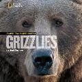 Face To Face With Grizzlies