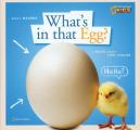 Whats In That Egg