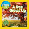 Explore My World: A Tree Grows Up