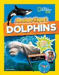 Absolute Expert: Dolphins