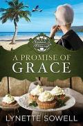 A Promise of Grace: Seasons in Pinecraft - Book 3