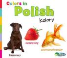 Colors in Polish: Kolory
