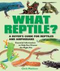 What Reptile A Buyers Guide