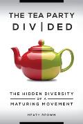 The Tea Party Divided: The Hidden Diversity of a Maturing Movement