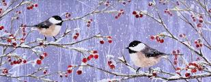 Snowy Chickadees Panoramic Boxed Holiday Cards (20 Cards, 21 Self-Sealing Envelopes) [With Envelope]