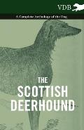 Scottish Deerhound A Complete Anthology of the Dog