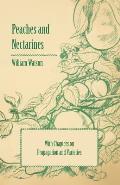 Peaches and Nectarines - With Chapters on Propagation and Varieties