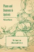 Plums and Damsons & Apricots - With Chapters on Cultivation and Varieties