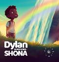 Dylan Discovers Shona: The Zimbabwean adventure