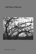 Noli Timere Mortem: On the unfounded fear of death