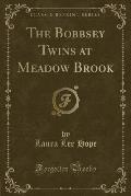 The Bobbsey Twins at Meadow Brook (Classic Reprint)