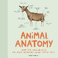 Animal Anatomy Sniff Tips Running Sticks & Other Accurately Named Animal Parts
