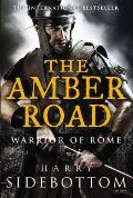 Amber Road Warrior of Rome Book 6