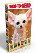 On the Go with Zooborns! (Boxed Set): Welcome to the World, Zooborns!; I Love You, Zooborns!; Hello, Mommy Zooborns!; Nighty Night, Zooborns; Splish,