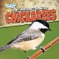 A Bird Watcher's Guide to Chickadees