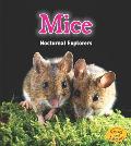 Mice: Nocturnal Explorers