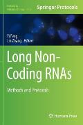 Long Non-Coding Rnas: Methods and Protocols