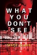 What You Don't See (Chicago Mysteries #3)