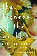 Bigness of the World: Stories