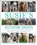 Susies Senior Dogs