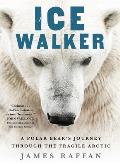 Ice Walker A Polar Bears Journey through the Fragile Arctic