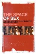 The Space of Sex: The Porn Aesthetic in Contemporary Film and Television