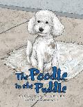 The Poodle in the Puddle