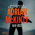 Rain Dogs Lib/E: A Detective Sean Duffy Novel