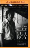 City Boy: My Life in New York During the 1960s and '70s