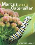 Marcus and the Caterpillar