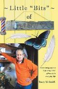 Little Bits of Buford: Overcoming sadness by Finding Bits of beauty in everyday life