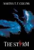 The Storm