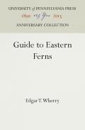 Guide to Eastern Ferns
