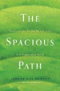 The Spacious Path: Practicing the Restful Way of Jesus in a Fragmented World