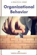 Organizational Behavior: A Practical Guide