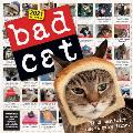Cal21 Bad Cat Wall Calendar 2021