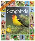 Audubon Songbirds and Other Backyard Birds Picture-A-Day Wall Calendar 2024: A Beautiful Bird Filled Way to Keep Track of 2024