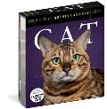 CAL24 Cat Page A Day Gallery Calendar