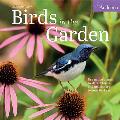 CAL24 Audubon Birds in the Garden Wall Calendar