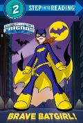 Brave Batgirl DC Super Friends