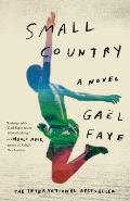 Small Country: Small Country: A Novel
