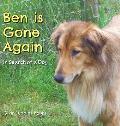 Ben Is Gone Again: In Search of a Dog