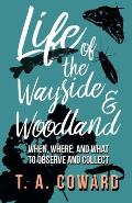 Life of the Wayside and Woodland: When, Where, and What to Observe and Collect