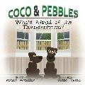 Coco & Pebbles: Who's Afraid of the Thunderstorm?