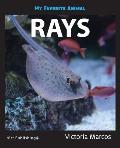 My Favorite Animal: Rays