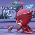 Owlette Gets a Pet P J Masks