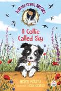 Jasmine Green Rescues A Collie Called Sky